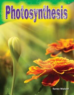 Photosynthesis by Torrey Maloof