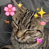 _readbye's profile picture