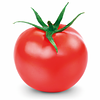 brainunderconstruction's profile picture