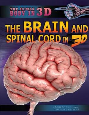 The Brain and Spinal Cord in 3D by Chris Hayhurst, Jack Becker