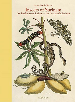 Maria Sibylla Merian: Insects of Surinam by Maria Sibylla Merian, Katharina Schmidt-Loske