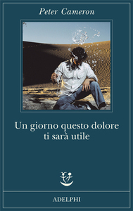 Un giorno questo dolore ti sarà utile by Peter Cameron