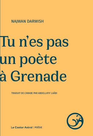 Tu n'es pas un poète à Grenade by Naǧwān Darwīš