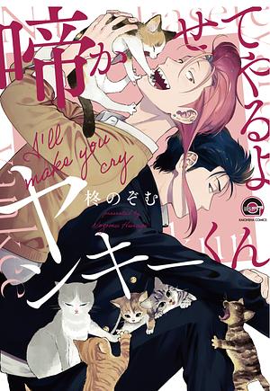 I'll Make You Cry Yankee-Kun by Nozomu Hiiragi