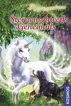 Sternenschweifs Geheimnis by Linda Chapman