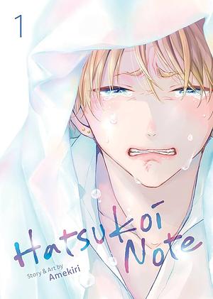 Hatsukoi Note by Amekiri