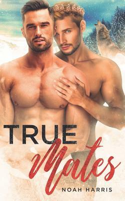 True Mates: A Gay Shifter Mpreg by Noah Harris