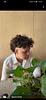 rewilding_oscar's profile picture