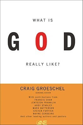 What Is God Really Like? by Francis Chan, Andy Stanley, Greg Surratt, Gary Shiohama, Clark Mitchell, John Burke, Steven Furtick, Craig Groeschel, Jentezen Franklin, Wayne Cordiero, Mark Batterson, Chris Hodges, Perry Noble, Stovall Weems, Rick Bezet, Toby Slough, Dino Rizzo