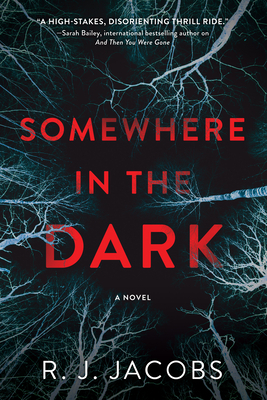 Somewhere in the Dark by R.J. Jacobs