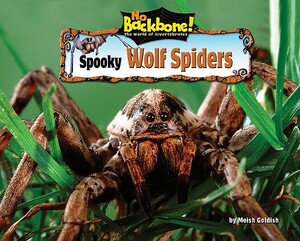 Spooky Wolf Spiders by Meish Goldish