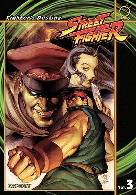 Street Fighter Volume 3: Fighter's Destiny by Ken Siu-Chong