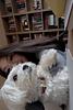 sundazebookcafe's profile picture