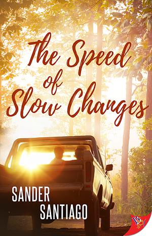 The Speed of Slow Changes by Sander Santiago