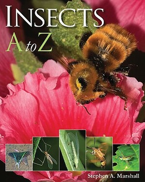 Insects A to Z by Stephen Marshall