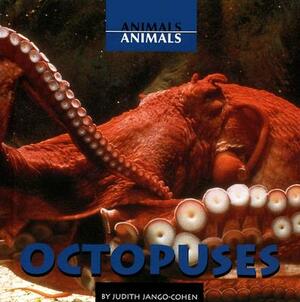 Octopuses by Judith Jango-Cohen