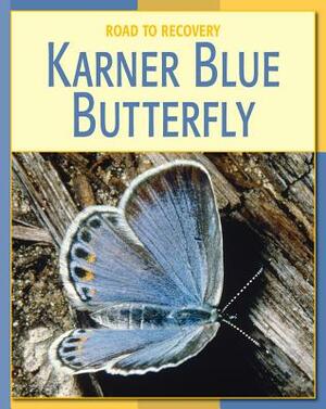 Karner Blue Butterfly by Susan Heinrichs Gray