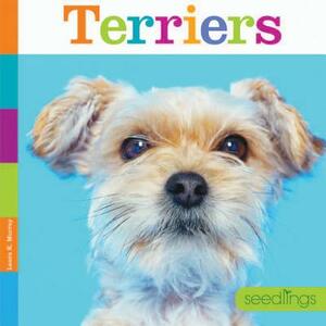 Terriers by Laura K. Murray