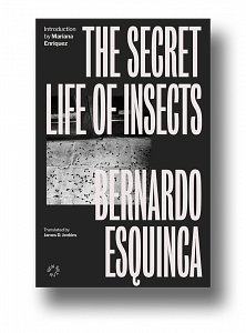 The Secret Life of Insects and Other Stories by Bernardo Esquinca