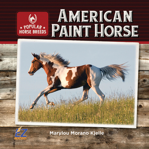 American Paint Horse by Marylou Morano Kjelle