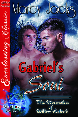 Gabriel's Soul by Marcy Jacks