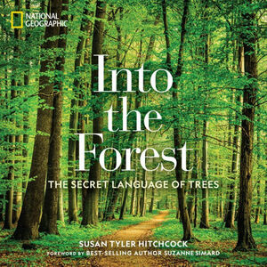 Into the Forest: The Secret Language of Trees by Susan Hitchcock