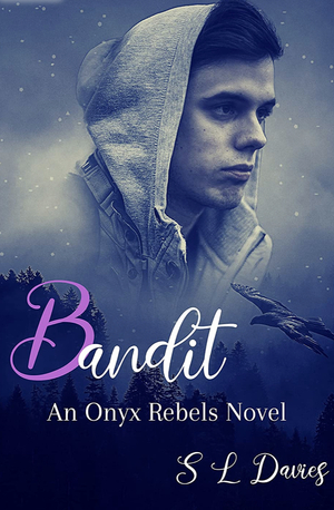 Bandit by S. L. Davies