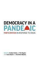 Democracy in a Pandemic: Participation in Response to Crisis by Tim Hughes, Graham Smith