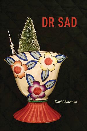 Dr Sad by David Bateman