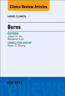 Burns, an Issue of Hand Clinics, Volume 33-2 by Benjamin Levi, Jason H. Ko