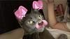 alexiadominguez's profile picture