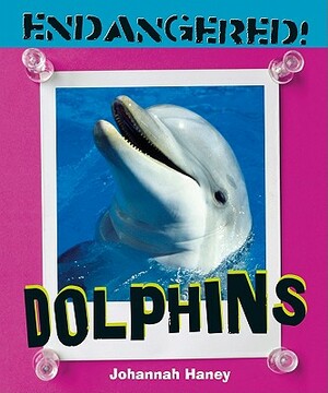 Dolphins by Johannah Haney