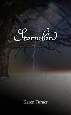 Stormbird by Karen Turner