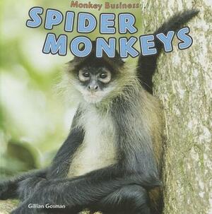 Spider Monkeys by Gillian Gosman