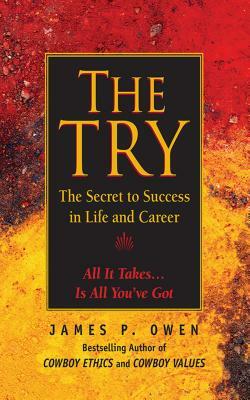 The Try: The Secret to Success in Life and Career by James P. Owen