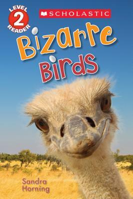 Bizarre Birds by Sandra Horning