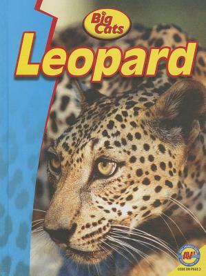 Leopard by Steve Goldsworthy