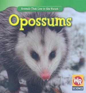 Opossums by JoAnn Early Macken