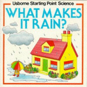 What Makes It Rain? by Susan Mayes, Mike Pringle, Heather Amery