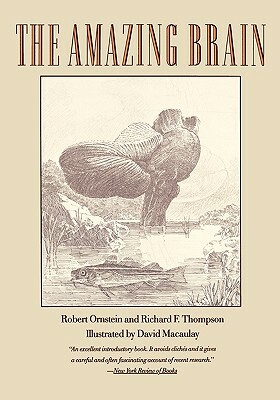 The Amazing Brain by Richard Thompson, Robert Ornstein