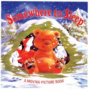 Somewhere to Sleep by Fernleigh Books, Daniel Howarth, Rebecca Elliott