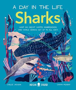 Sharks (A Day in the Life): What Do Great Whites, Hammerheads, and Whale Sharks Get Up To All Day? by Carlee Jackson, Neon Squid