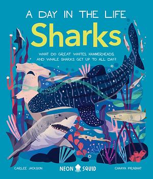 Sharks (A Day in the Life): What Do Great Whites, Hammerheads, and Whale Sharks Get Up To All Day? by Neon Squid, Carlee Jackson