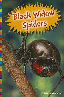 Black Widow Spiders by Elizabeth Raum