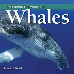 Exploring the World of Whales by Tracy Read