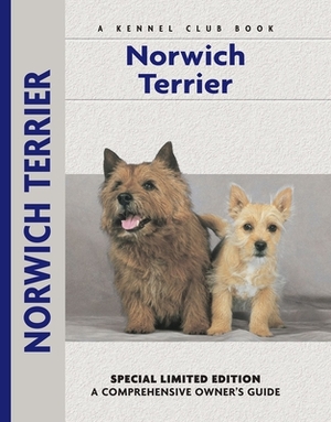 Norwich Terrier by Alice Kane