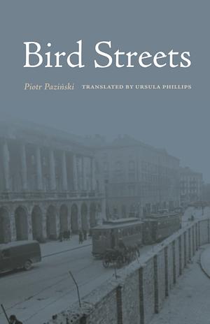 Bird Streets by Piotr Paziński