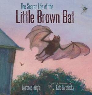 The Secret Life of the Little Brown Bat by Laurence Pringle, Kate Garchinsky