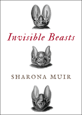 Invisible Beasts: Tales of the Animals That Go Unseen Among Us by Sharona Muir