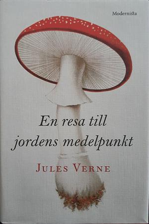 En resa till jordens medelpunkt by Jules Verne